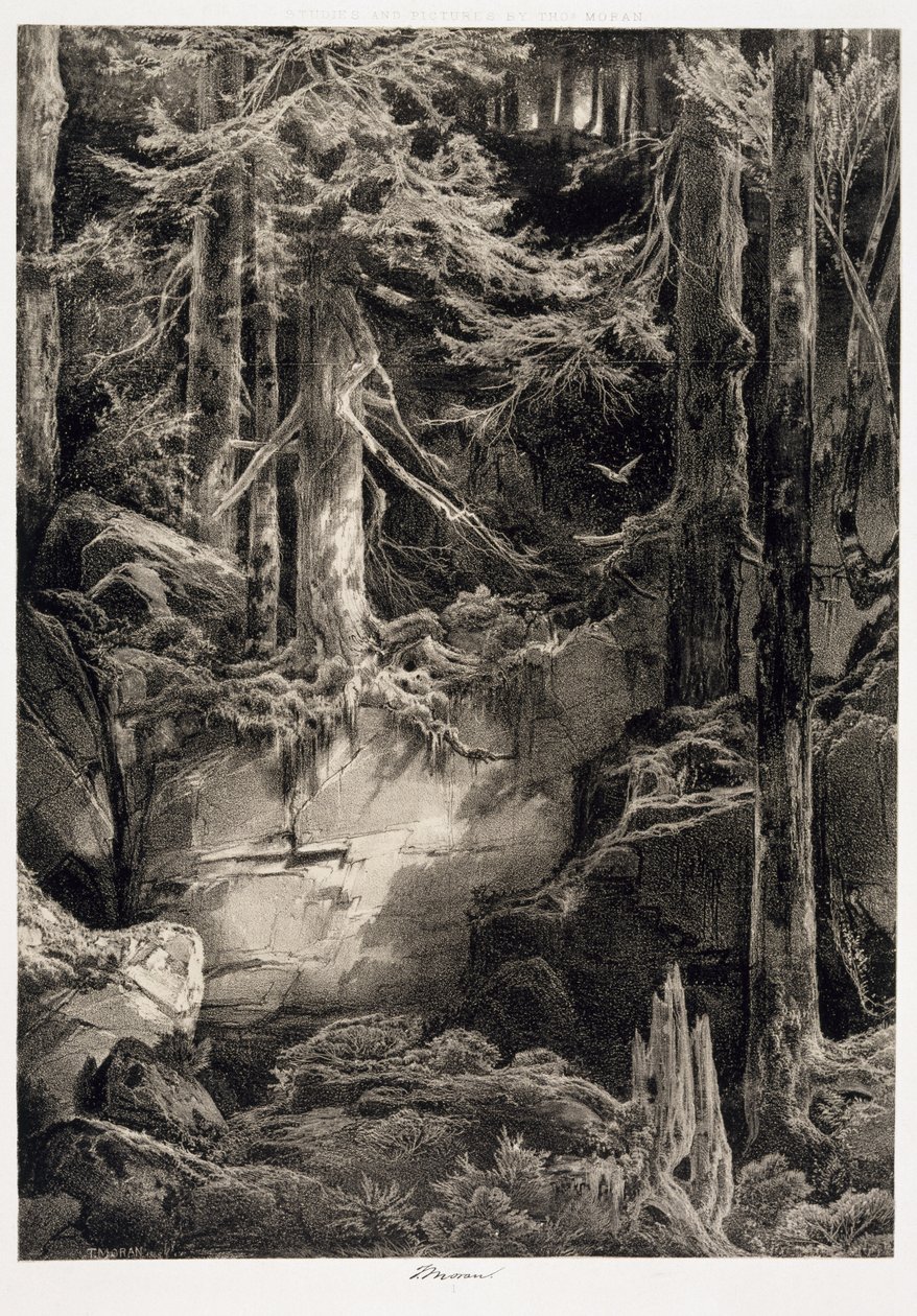 A Wissahickon-erdőben, 1868 alkotó: Thomas Moran