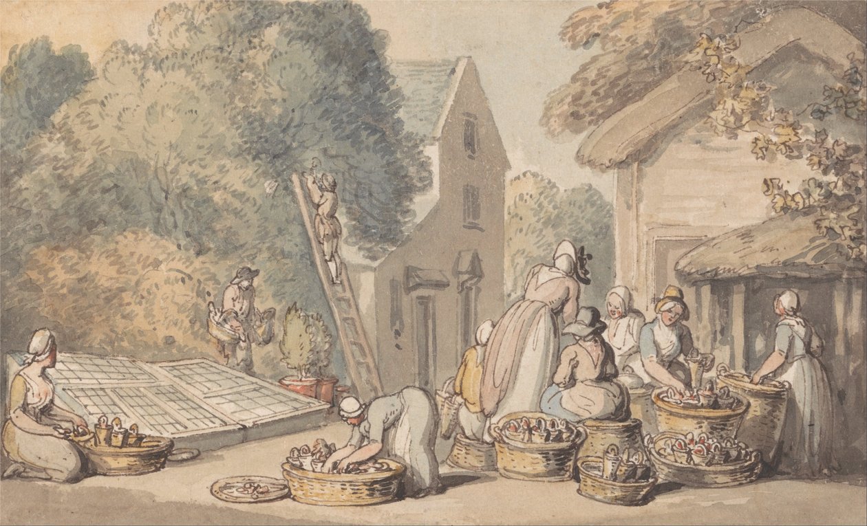 Eperfa szedése alkotó: Thomas Rowlandson