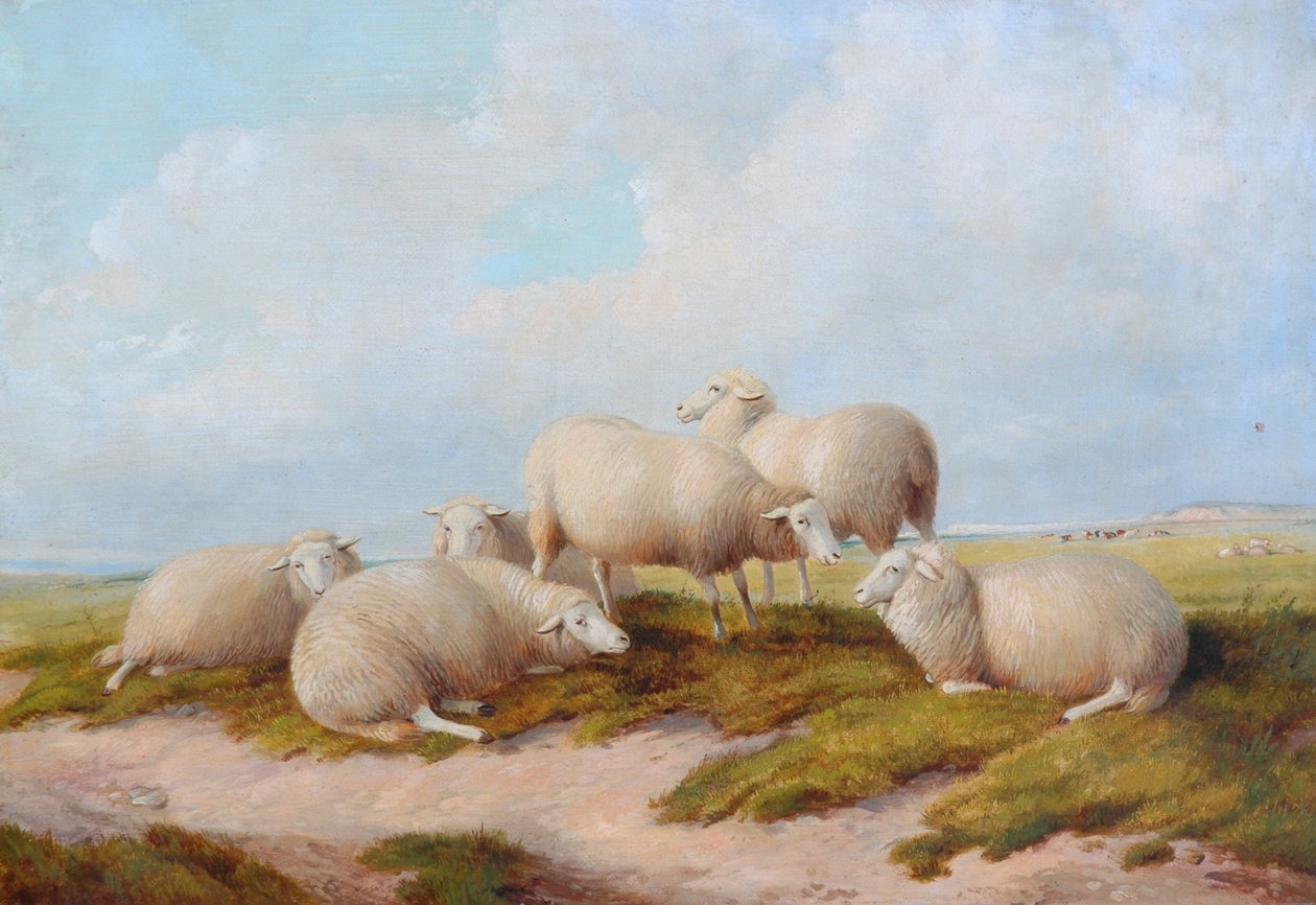 Juh alkotó: Thomas Sidney Cooper