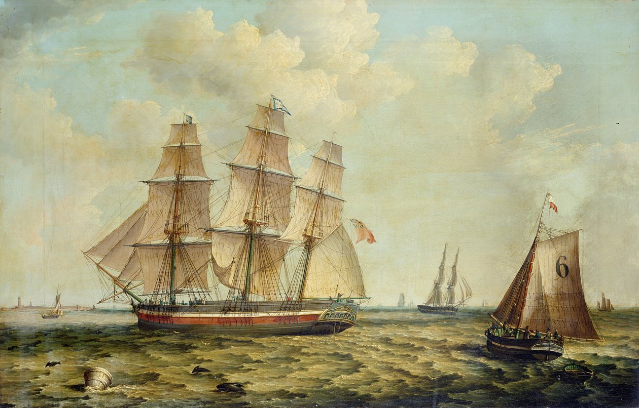 A hull-i "Halcyon" háromárbocos bárka alkotó: Thomas A. Binks