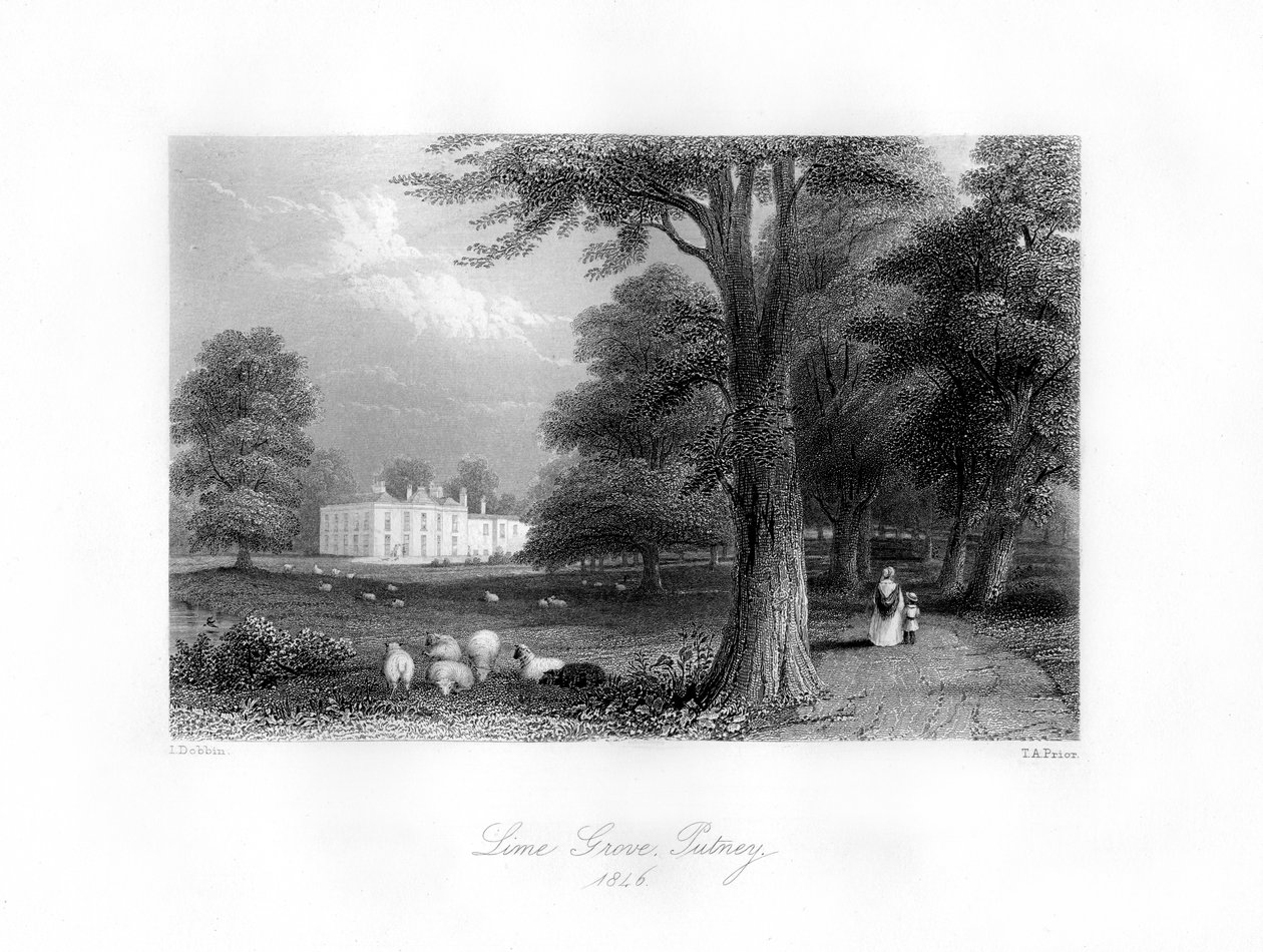Lime Grove, Putney, 1846. alkotó: Thomas Abel Prior