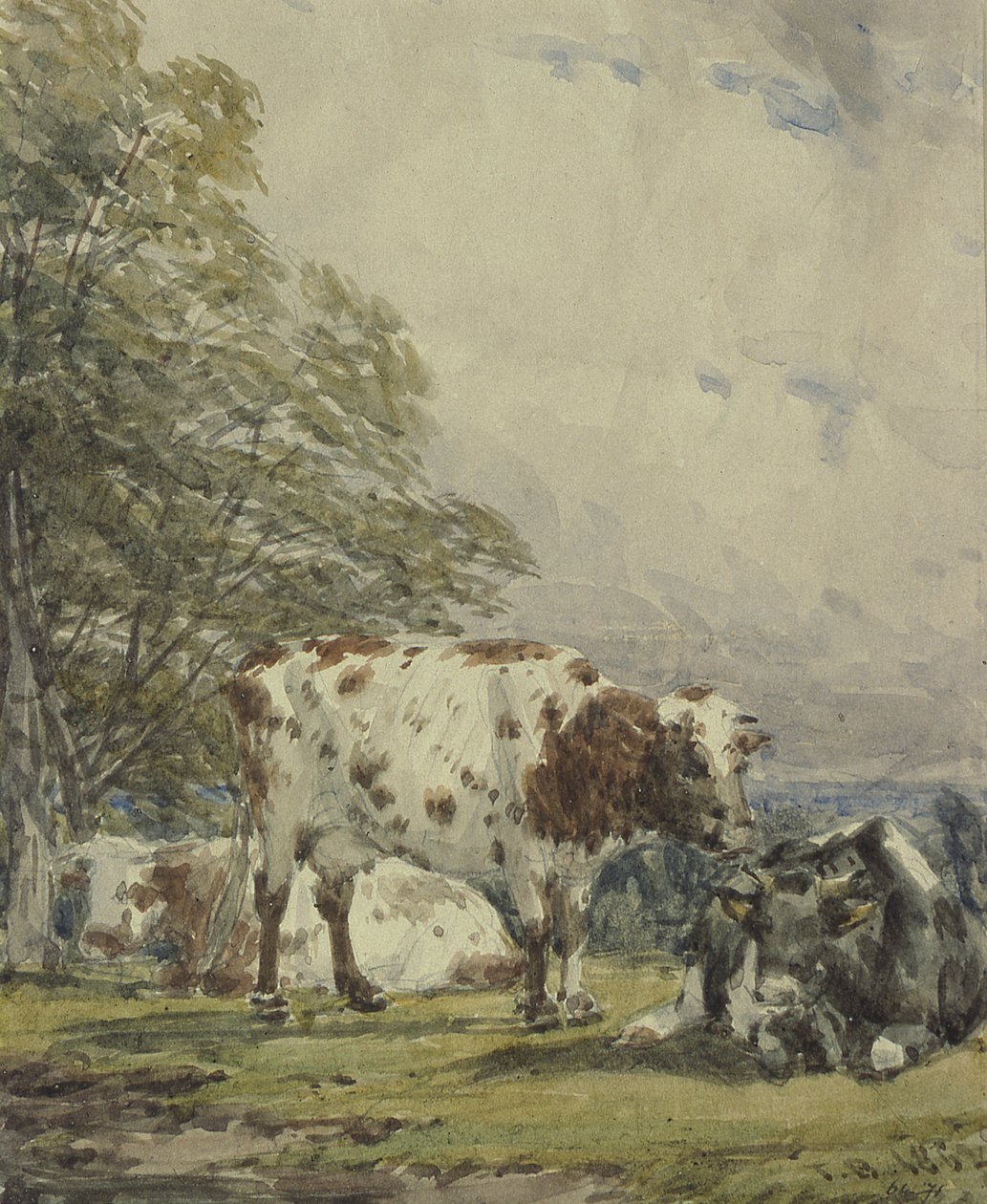 Szarvasmarha-tanulmány, 19. század alkotó: Thomas Baker