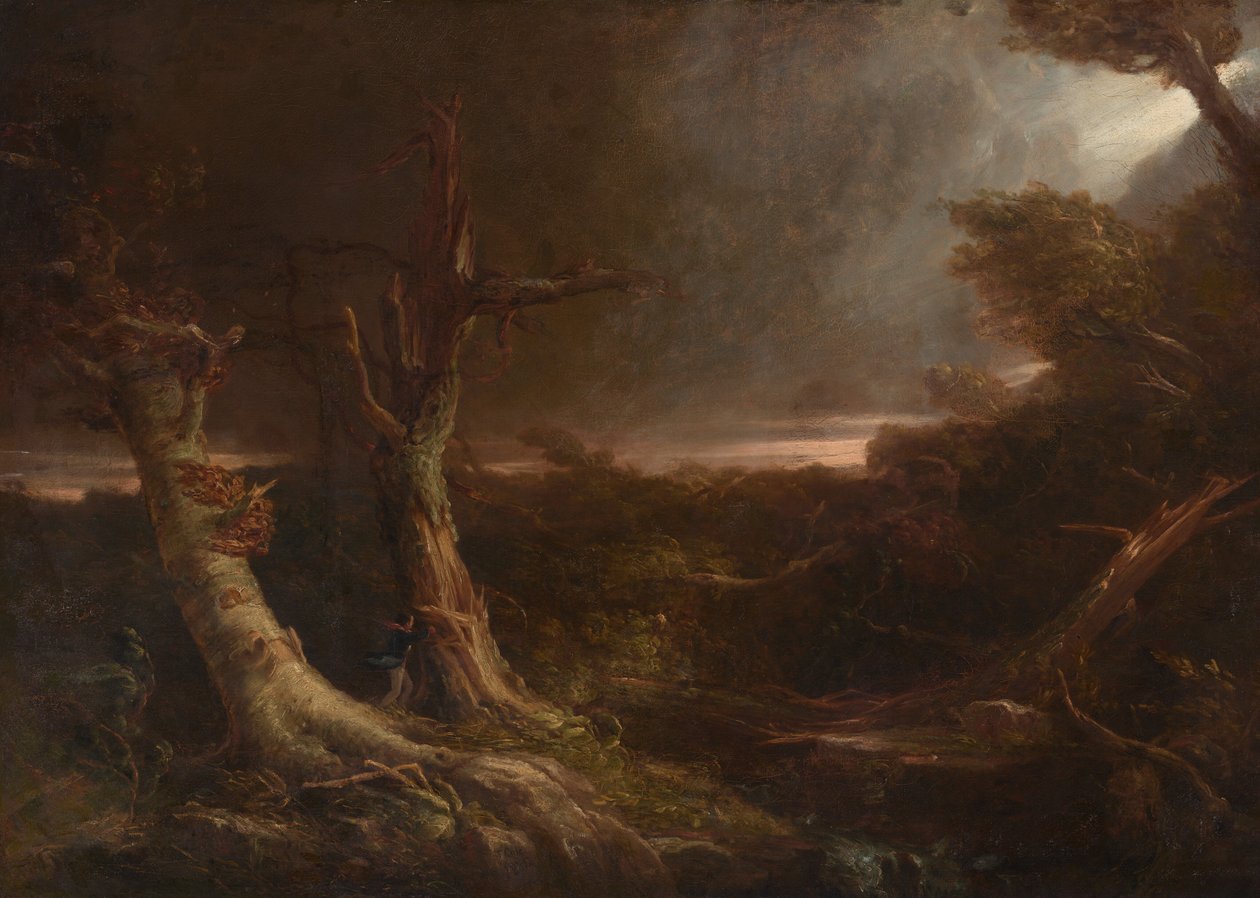 Tornádó egy amerikai erdőben alkotó: Thomas Cole