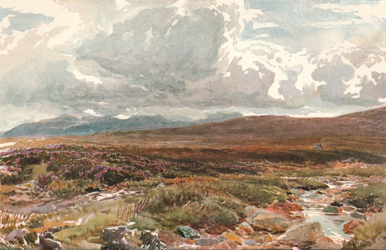 A Sussex Common, 1889 alkotó: Thomas Collier