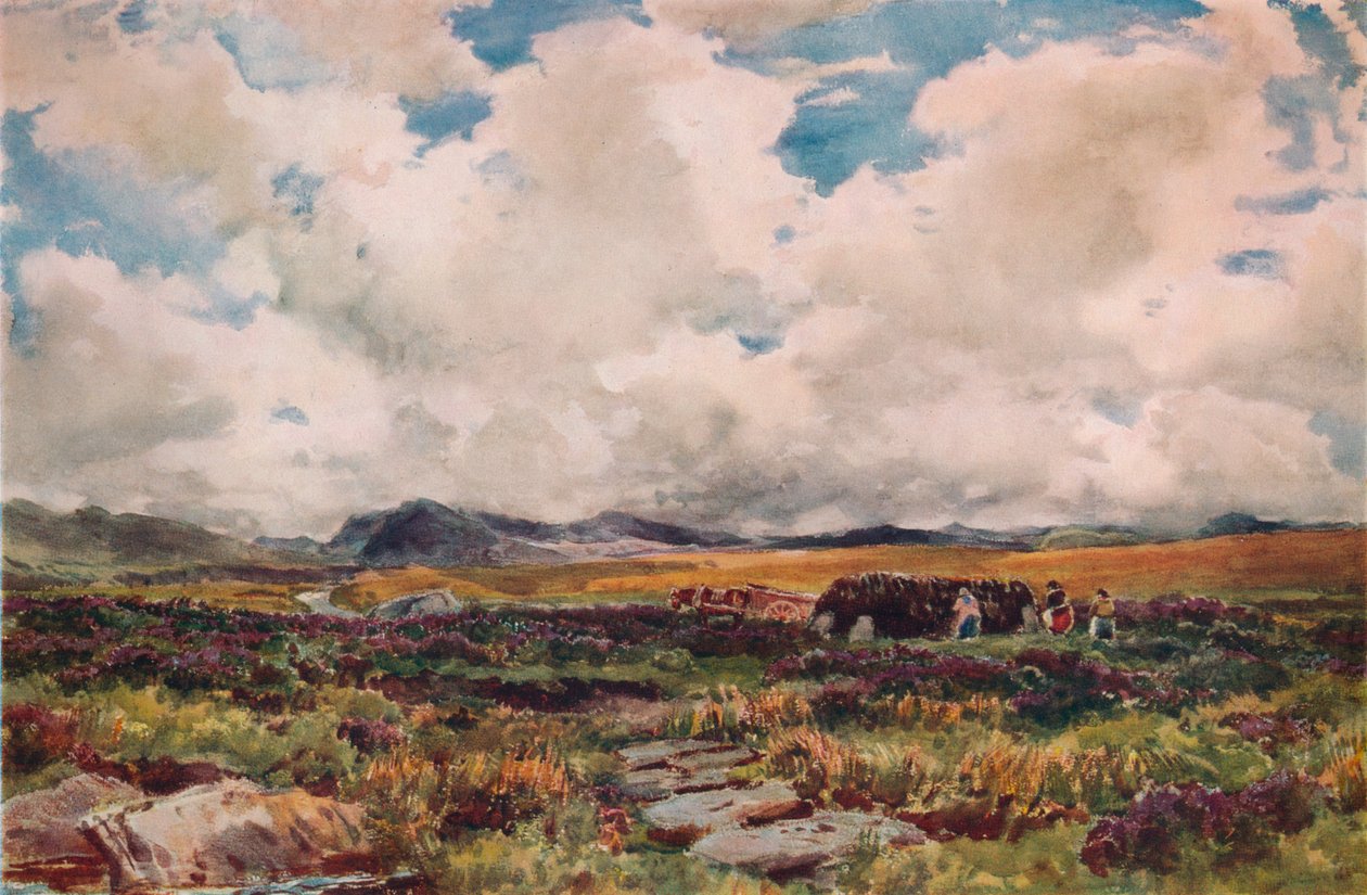 Stacking Peat, Festiniog, Észak-Wales, 1881 alkotó: Thomas Collier