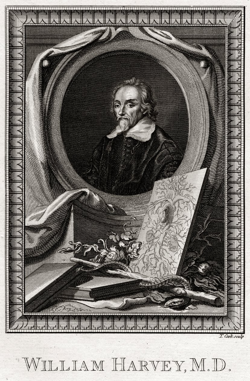 William Harvey, 1777 alkotó: Thomas Cook