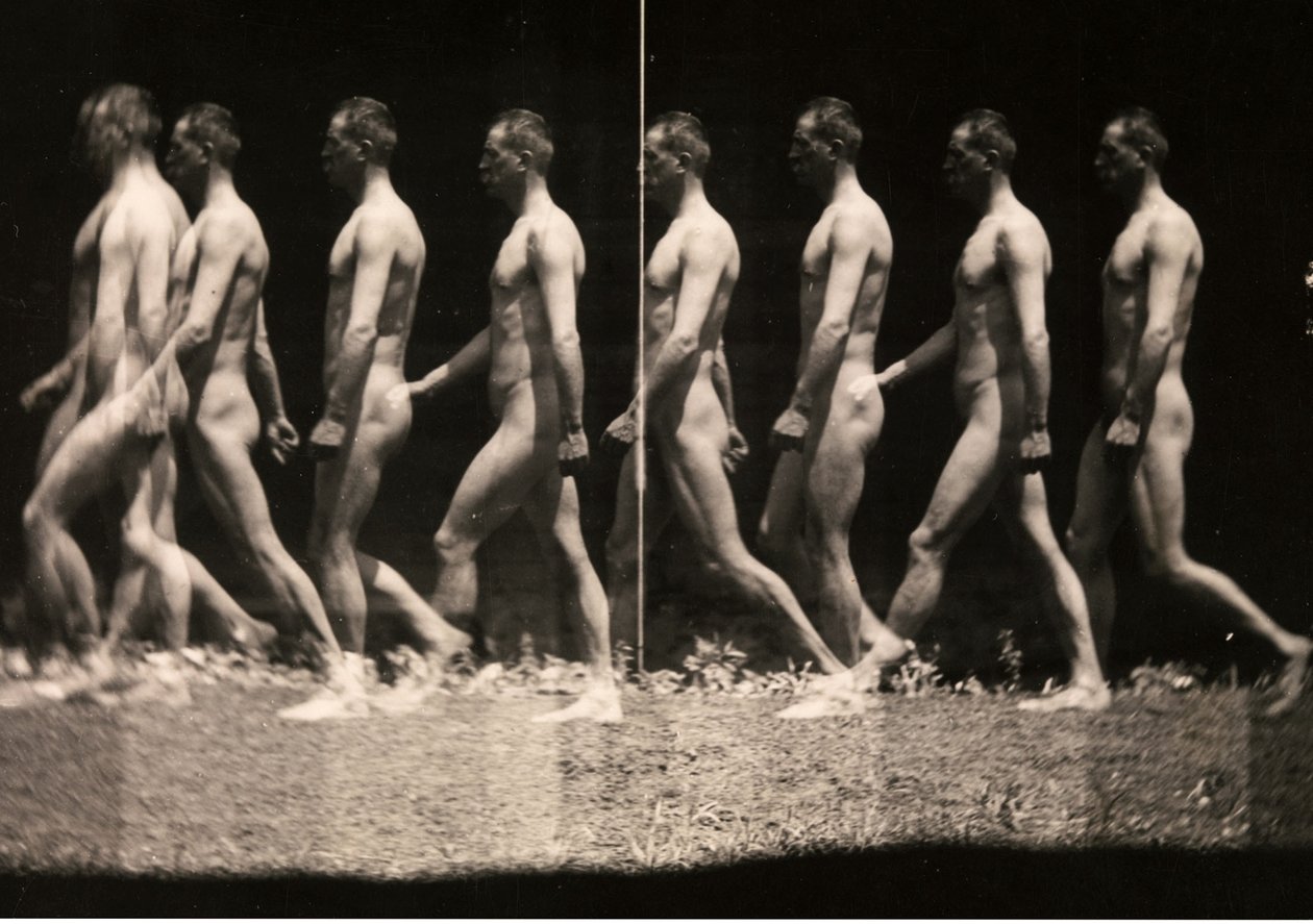 Férfi sétáló stroboszkópos fénykép alkotó: Thomas Cowperthwait Eakins