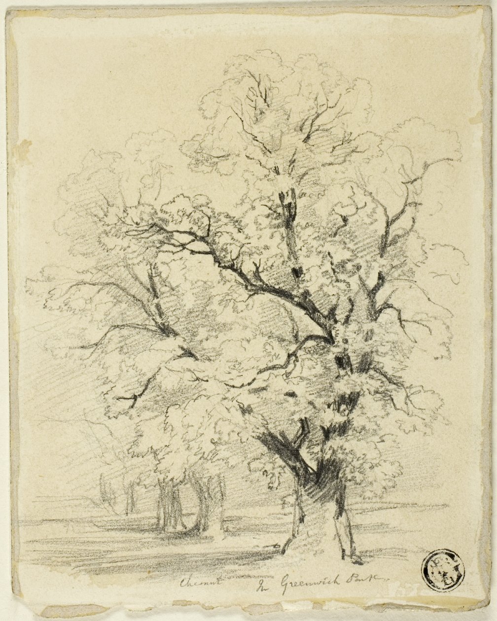 Ches[t]nut a Greenwich Parkban alkotó: Thomas Creswick