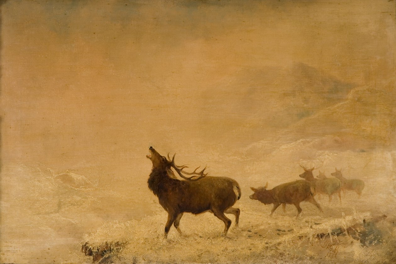 Eddig 1883 alkotó: Thomas Henry Gibb