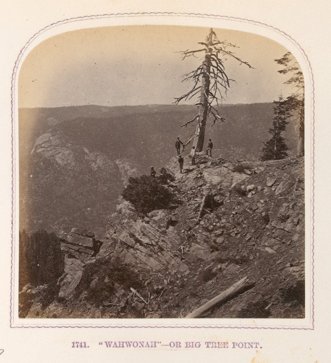 "Wahwonah" - vagy Big Tree Point alkotó: Thomas Houseworth