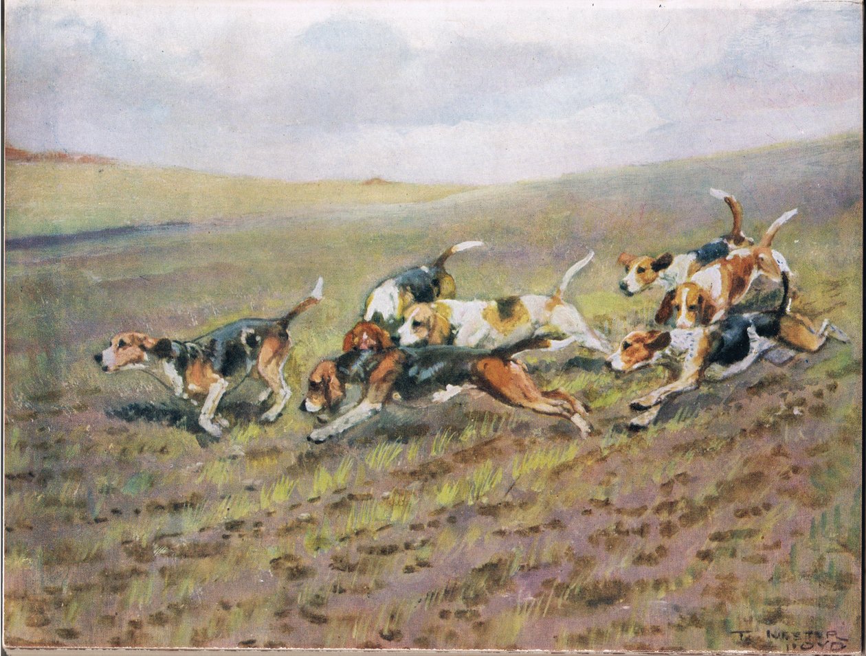 Crossing the Fields, illusztráció a 
