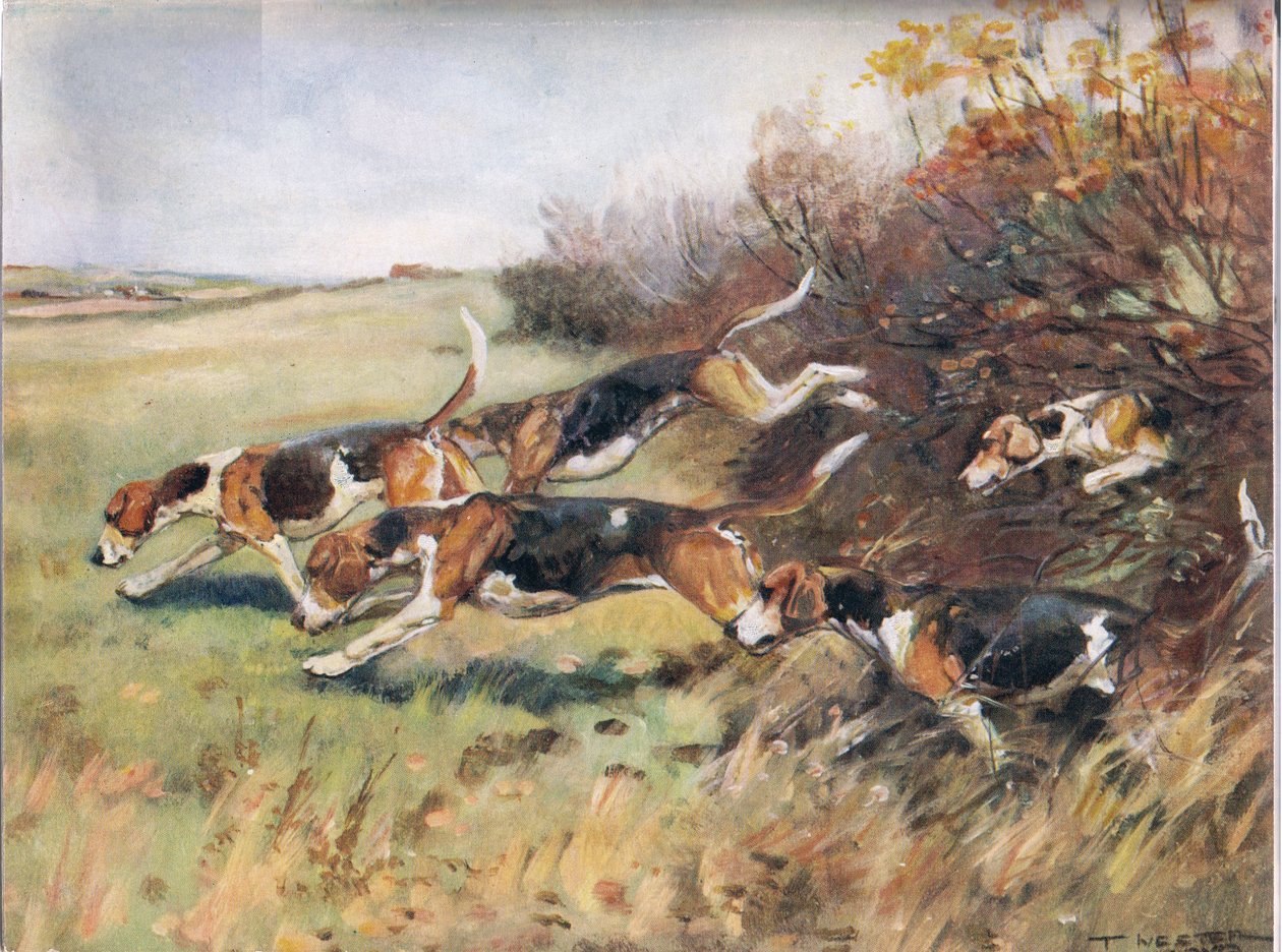 Az illat nyomán, illusztráció a „Hounds”-ból alkotó: Thomas Ivester Lloyd