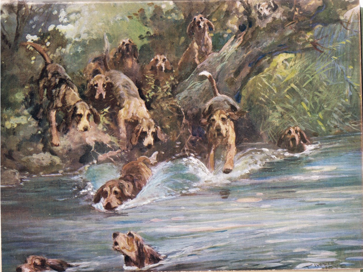 Into the River, illusztráció a 