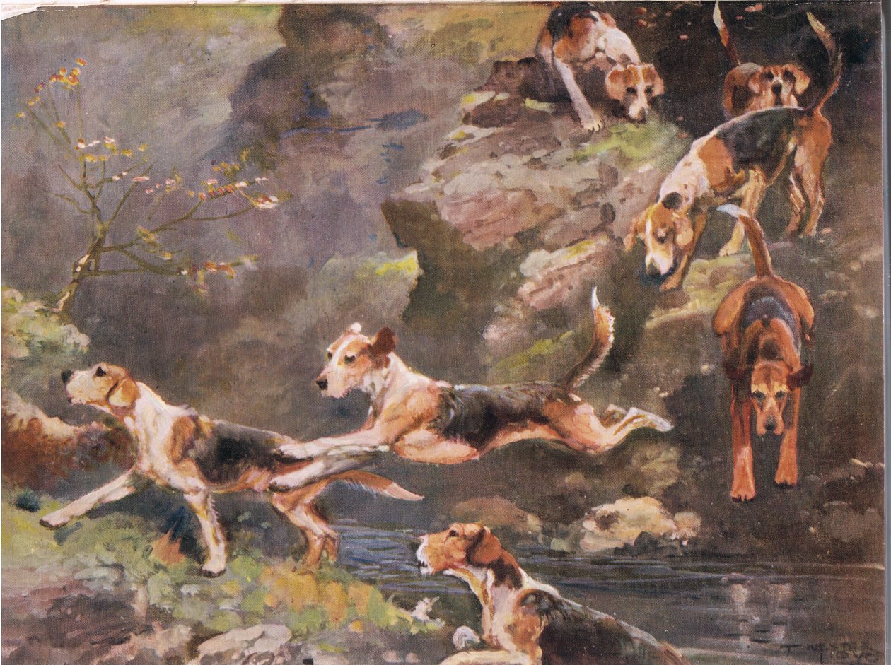 A folyó felett, illusztráció a „Hounds” című filmből alkotó: Thomas Ivester Lloyd