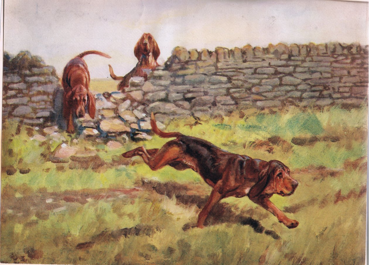A fal fölött, illusztráció a „Hounds” című filmből alkotó: Thomas Ivester Lloyd