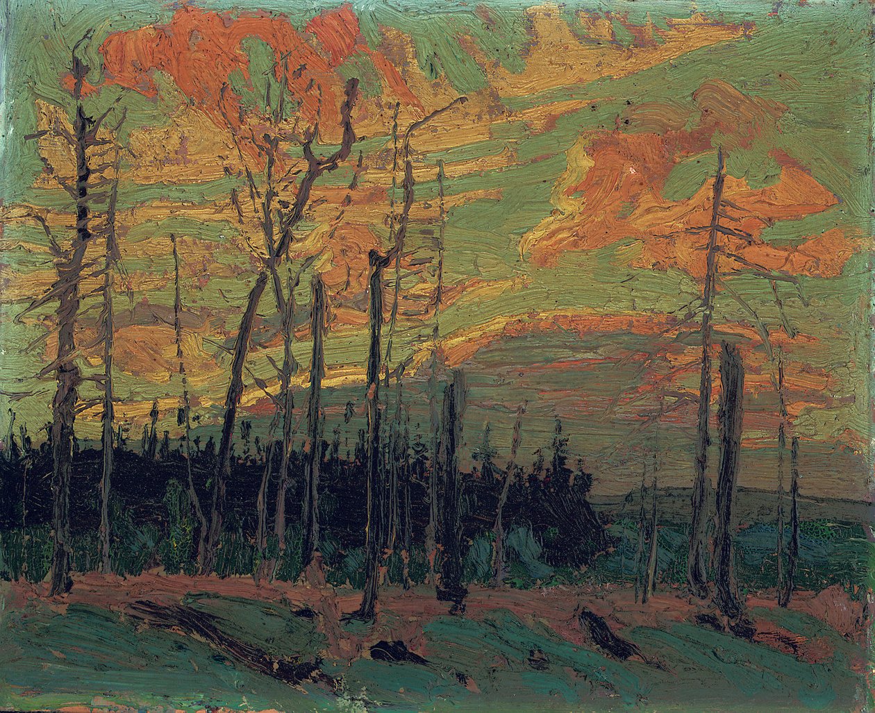 Leégett föld napnyugtakor, 1915 alkotó: Tom Thomson