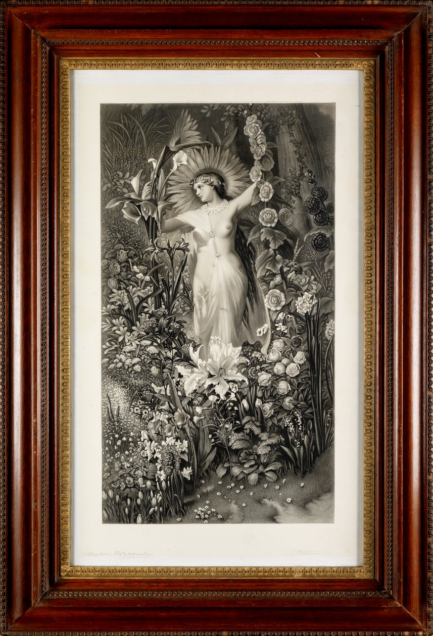 Flóra (metszet) alkotó: Thomas Lewis Atkinson