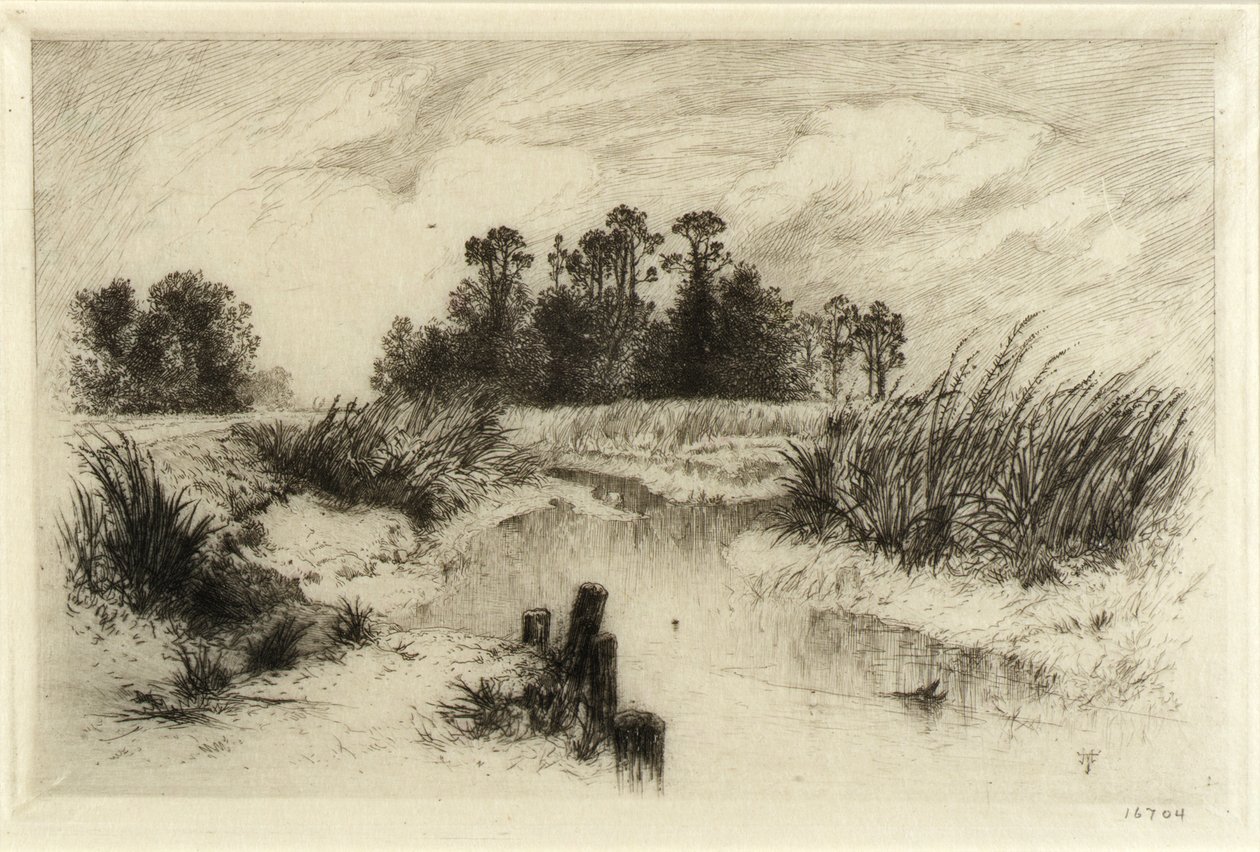 Easthampton közelében, L.I. (Passaic Meadows) alkotó: Thomas Moran