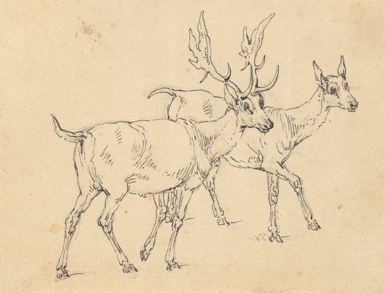Album rajz alkotó: Thomas Rowlandson