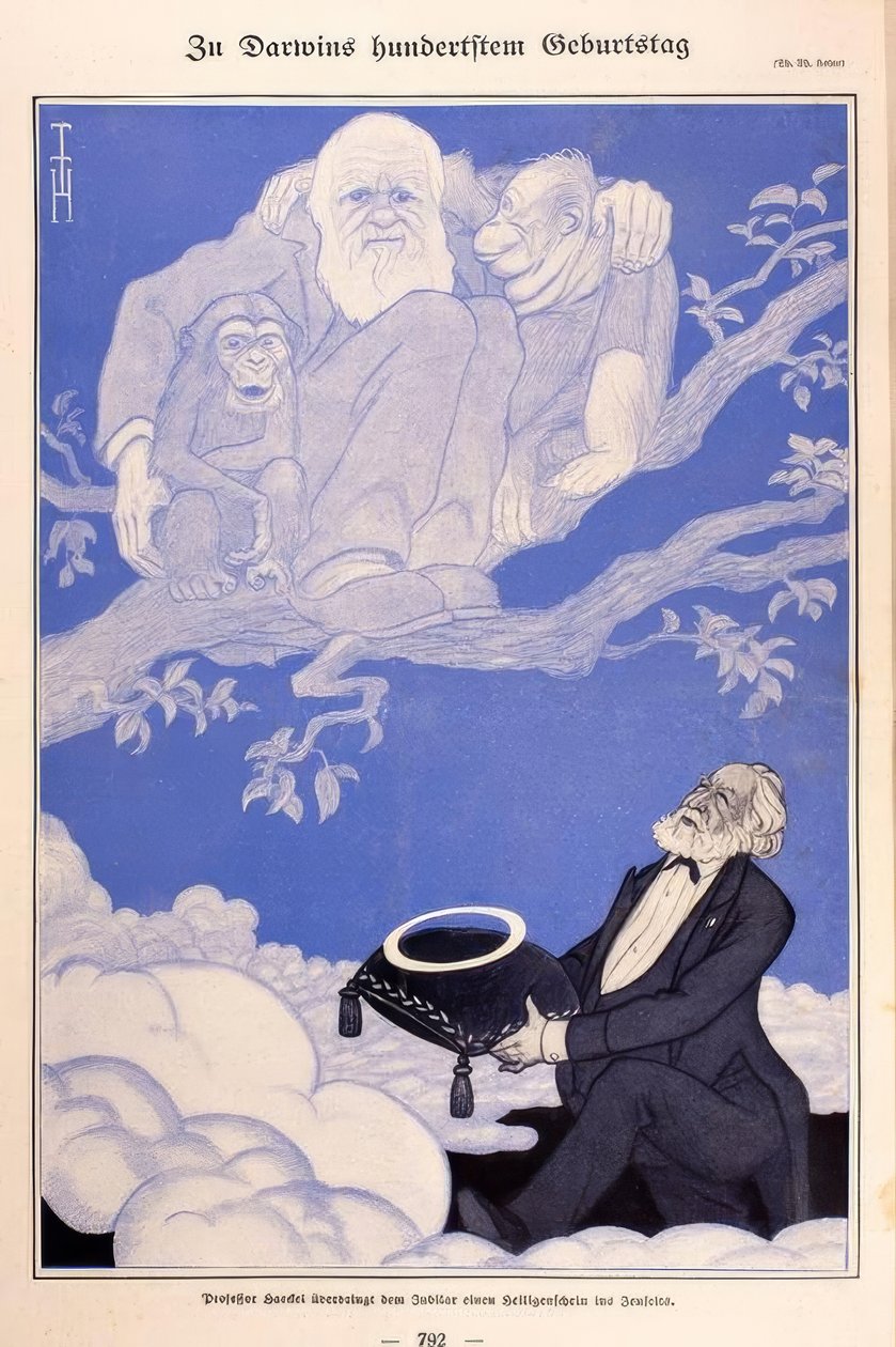 1909-es karikatúra Darwin, Majmok, Haeckel alkotó: Thomas Theodor Heine