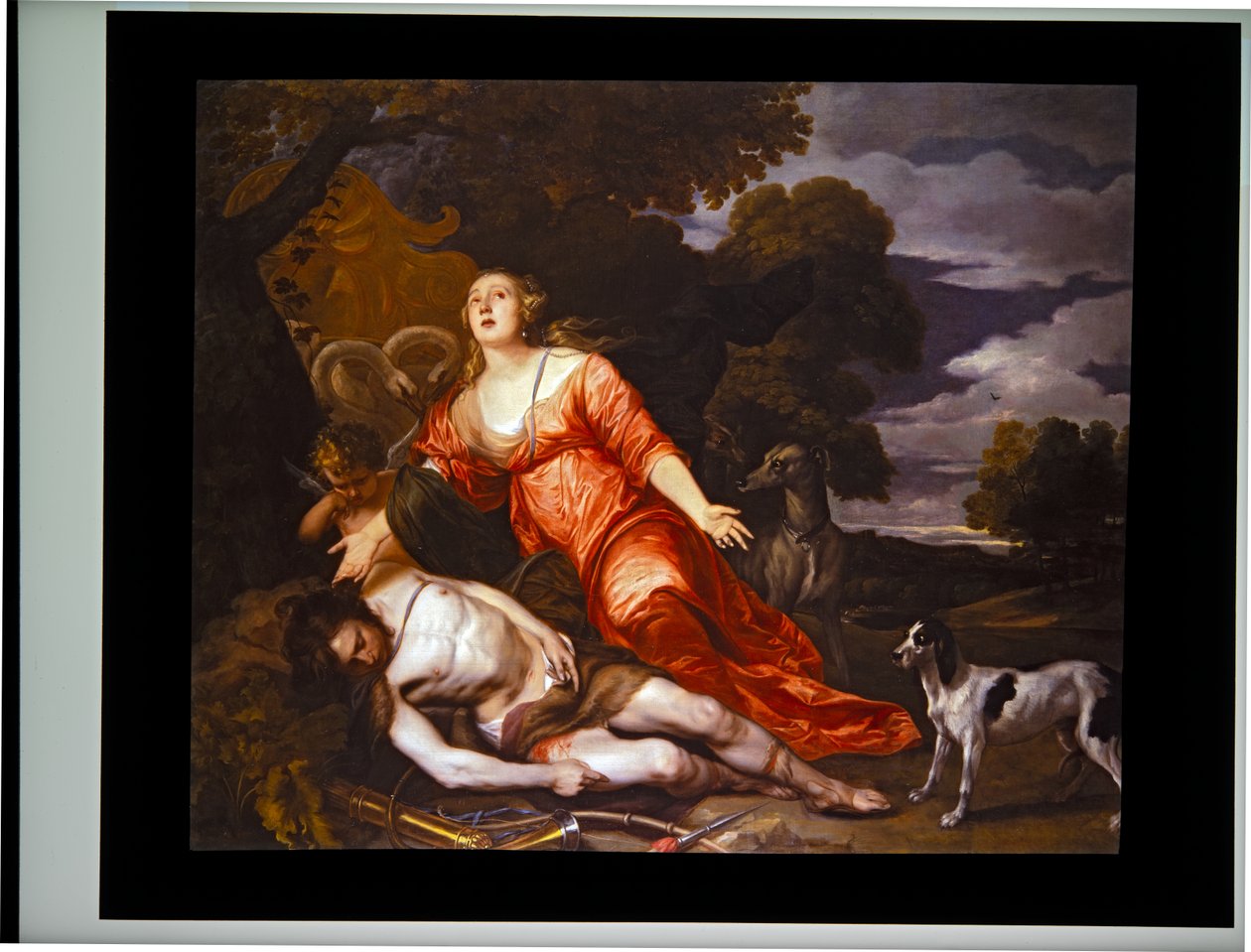 Adonisz halála alkotó: Thomas Willeboirts Bosschaert