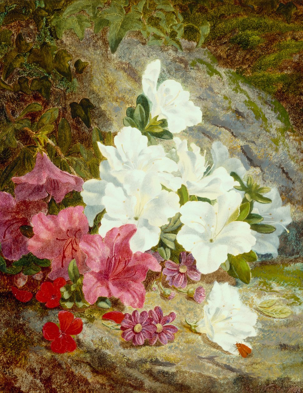 Azálea (olaj, vászon) alkotó: Thomas Worsey