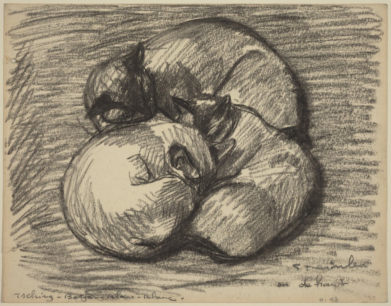 A macskák: Tsching, Batzar és Blanc-Blanc alkotó: Théophile Alexandre Steinlen
