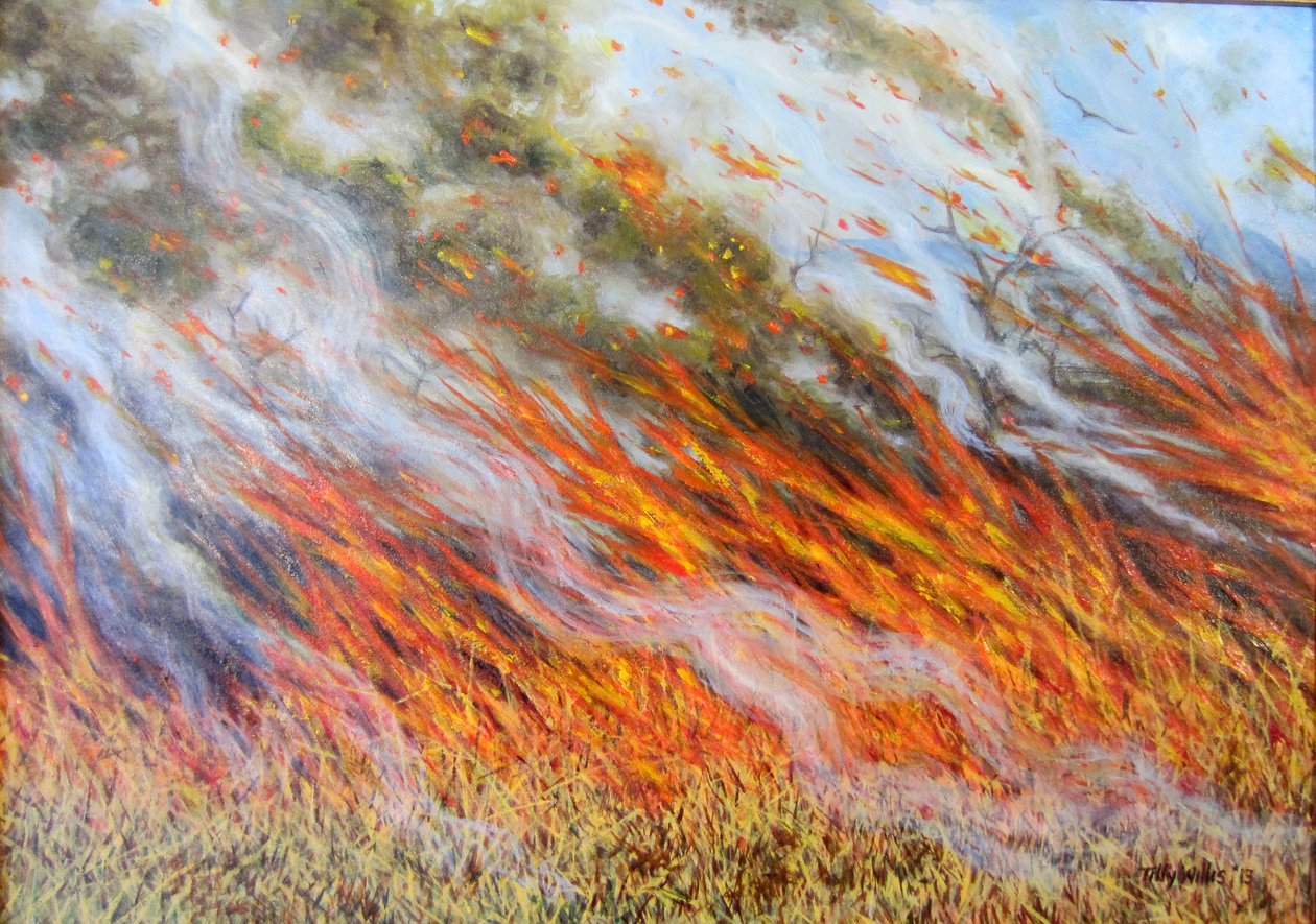 Bozóttűzpokol, 2014, alkotó: Tilly Willis
