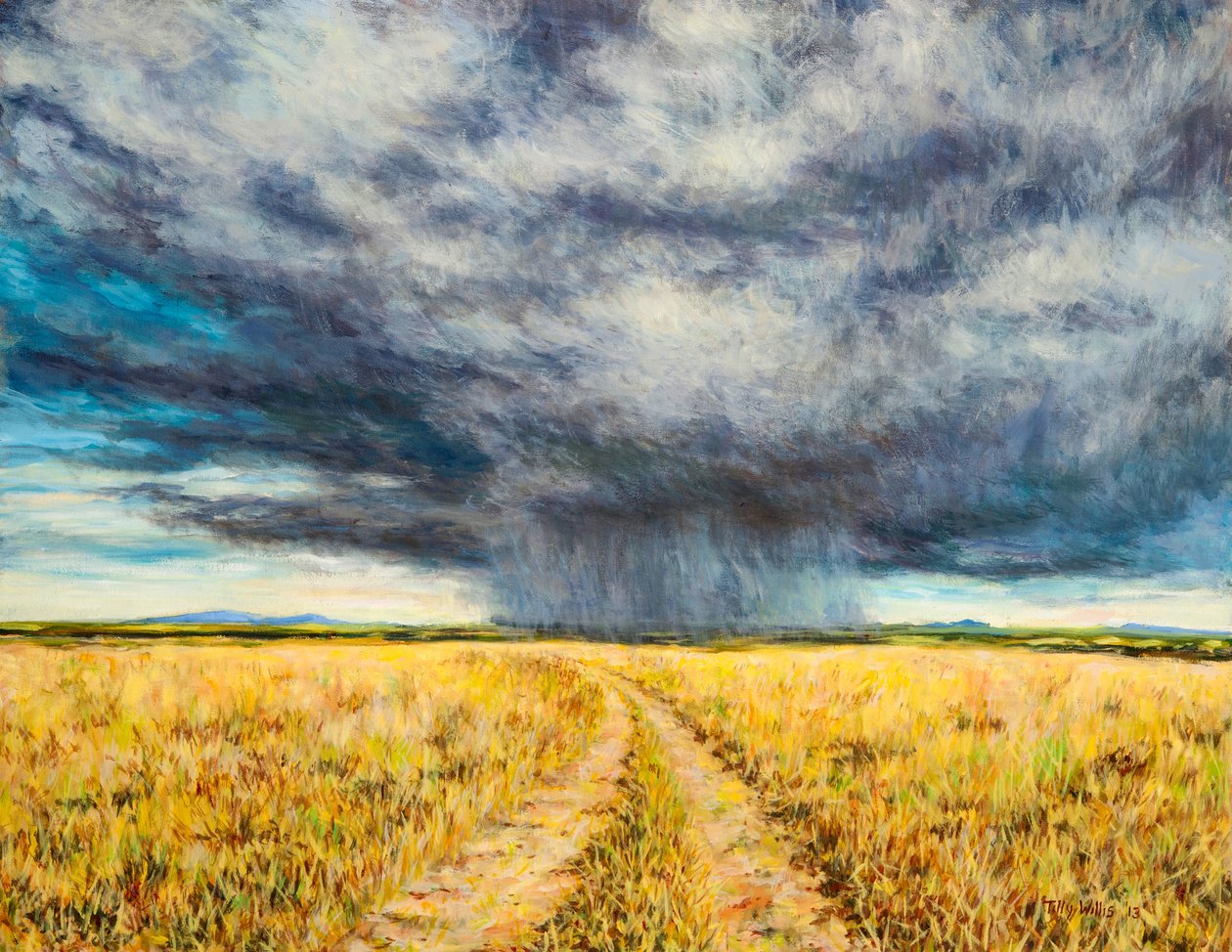 Mara Storm, 2012 alkotó: Tilly Willis