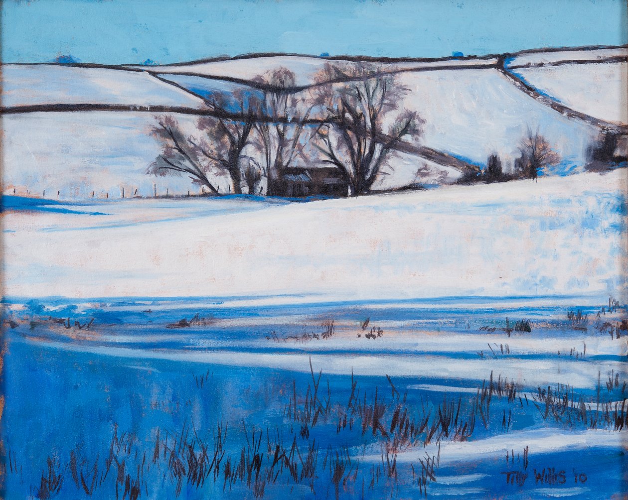 Hóárnyak, 2010 alkotó: Tilly Willis