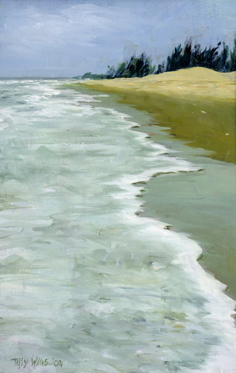The Beach, 2004 alkotó: Tilly Willis
