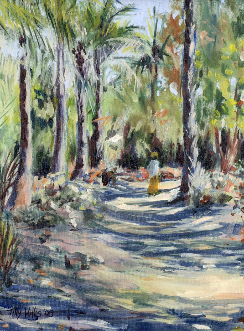 The Bush Road, 2005 alkotó: Tilly Willis
