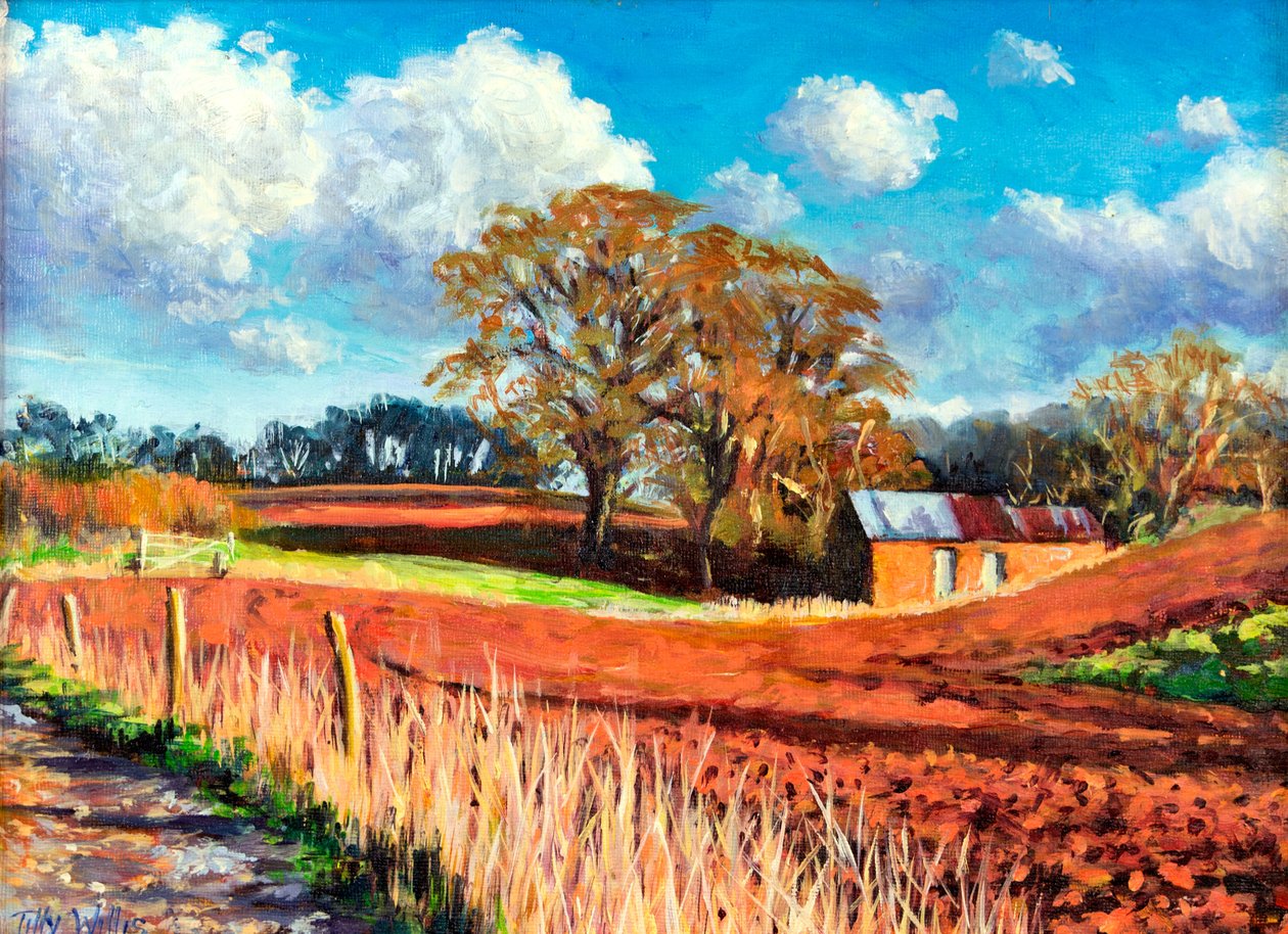 Country Barn, 2014, alkotó: Tilly Willis