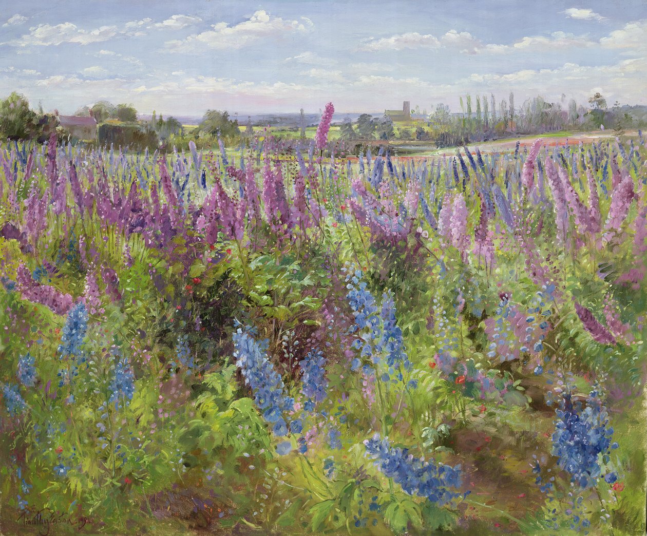 Delphiniumok és pipacsok, 1991 alkotó: Timothy Easton