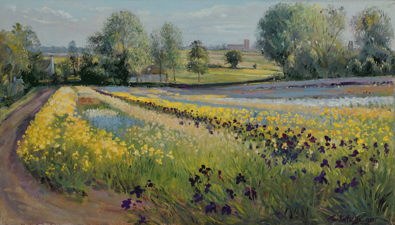 Iris Slope, 1991 alkotó: Timothy Easton
