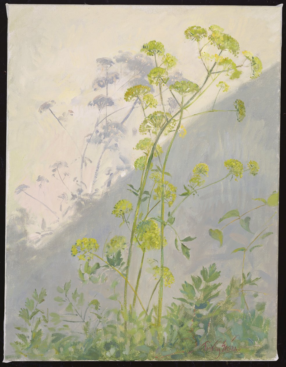 Lovage Against Diagonal Shadows, 1999 alkotó: Timothy Easton