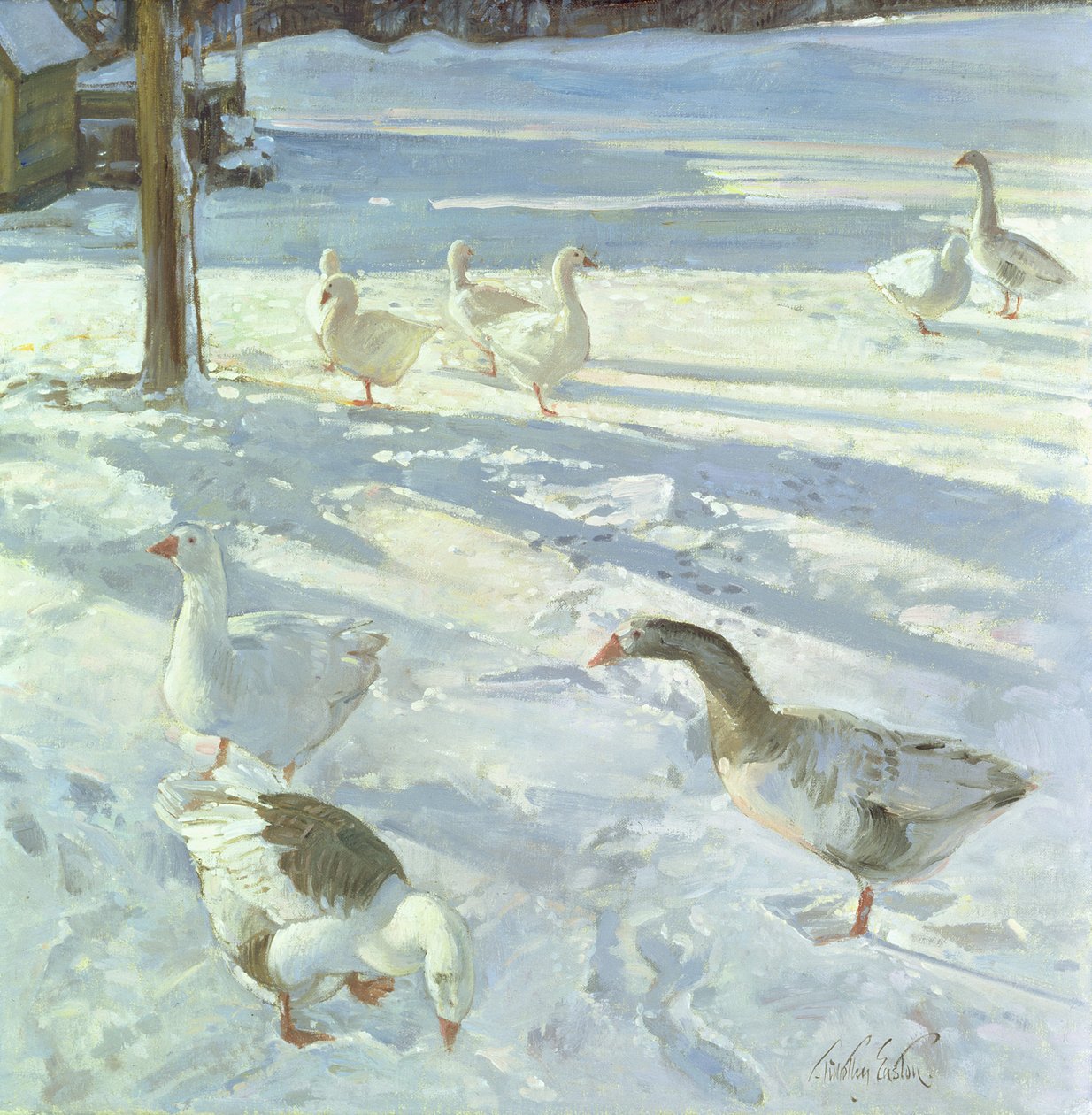 Snowfeeders, 1999 alkotó: Timothy Easton