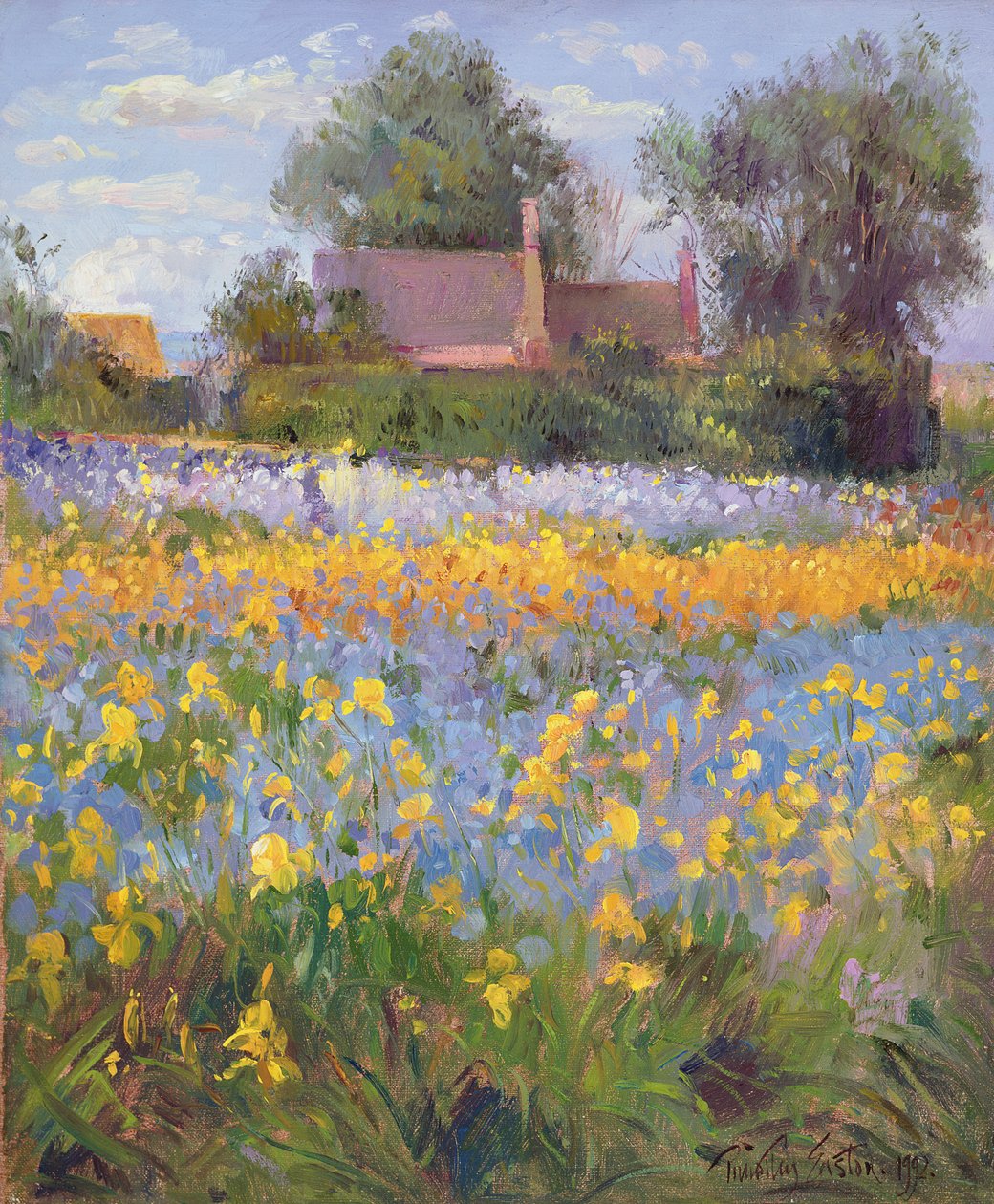 A zárt házak az íriszmezőn alkotó: Timothy Easton