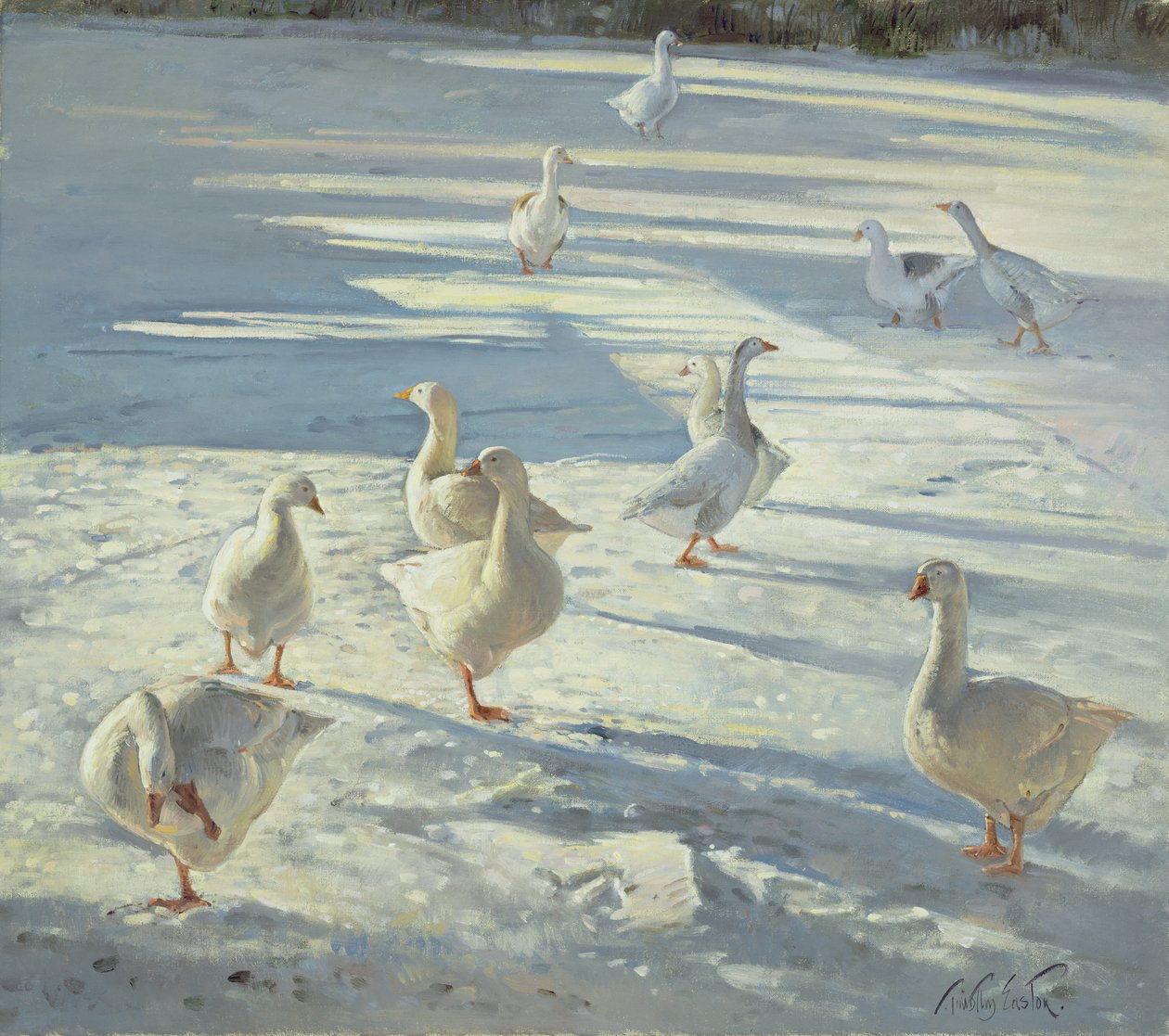 Az összejövetel alkotó: Timothy Easton