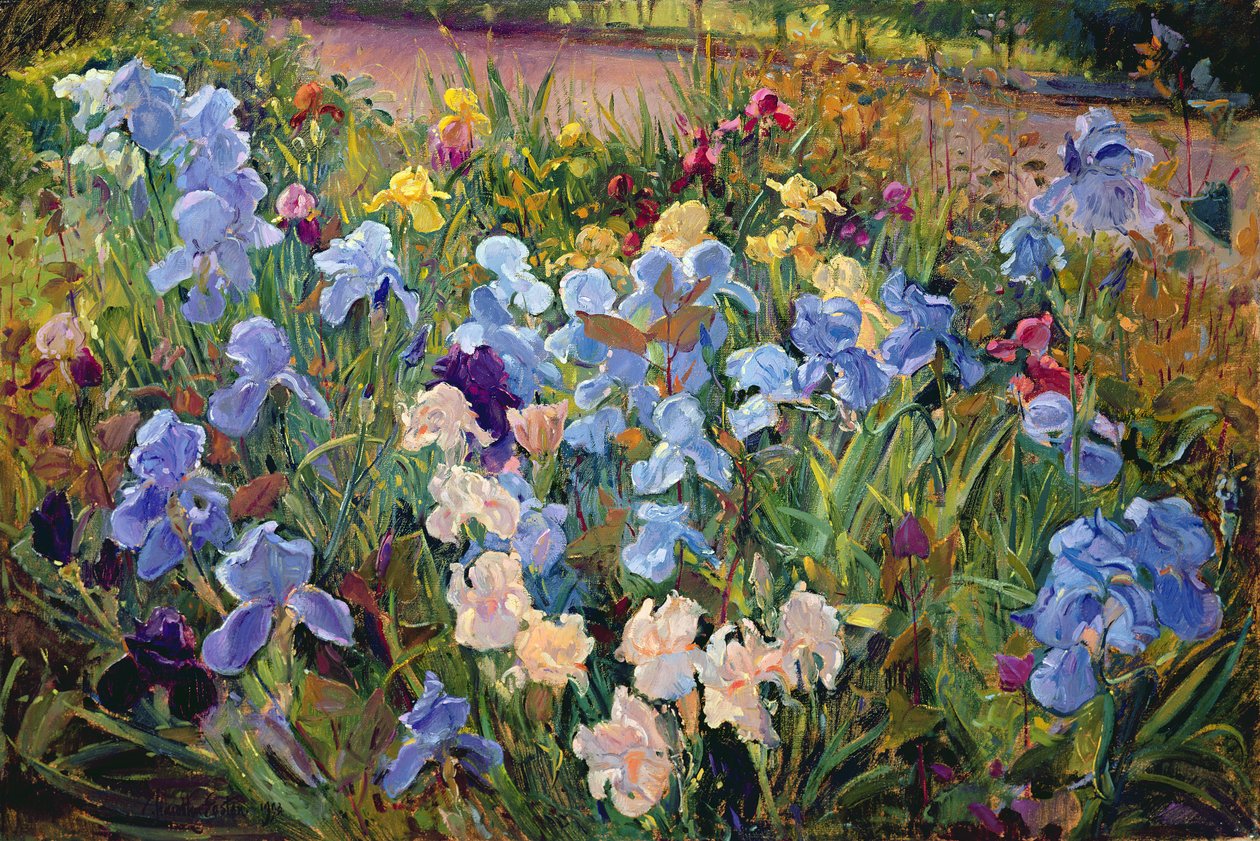 Az írisz ágy, 1993 alkotó: Timothy Easton