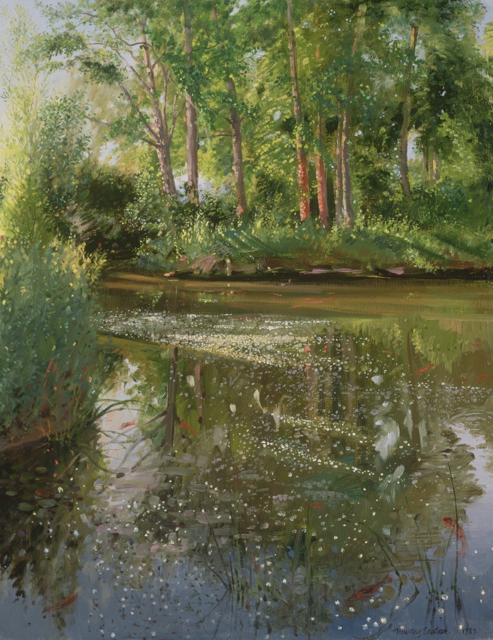 Vízivirágok napkeltekor alkotó: Timothy Easton