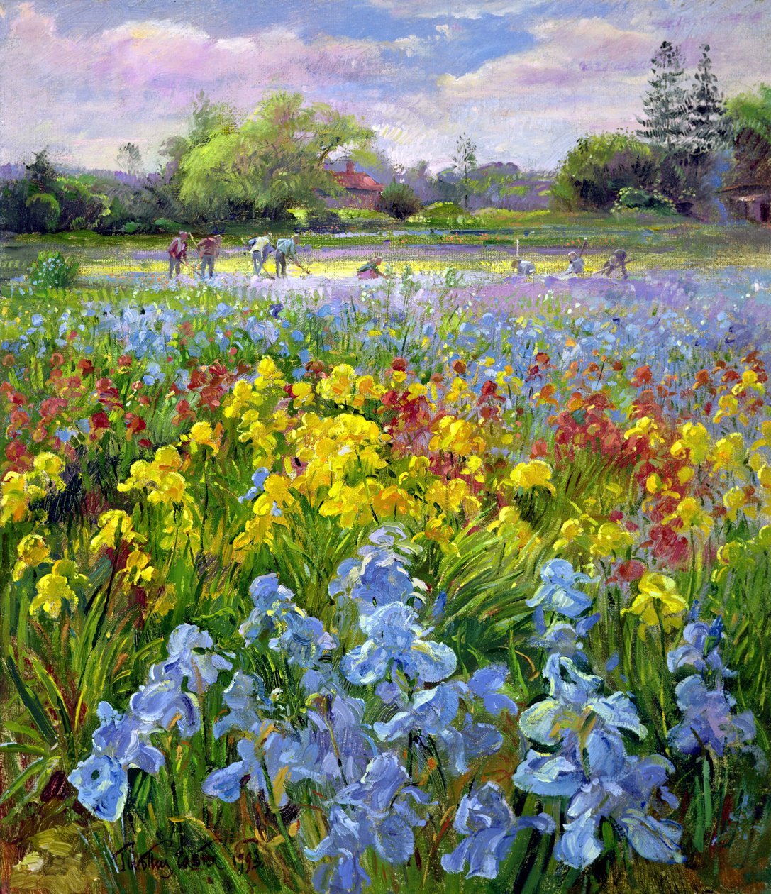 Kapálócsapat és Iris Fields alkotó: Timothy Easton