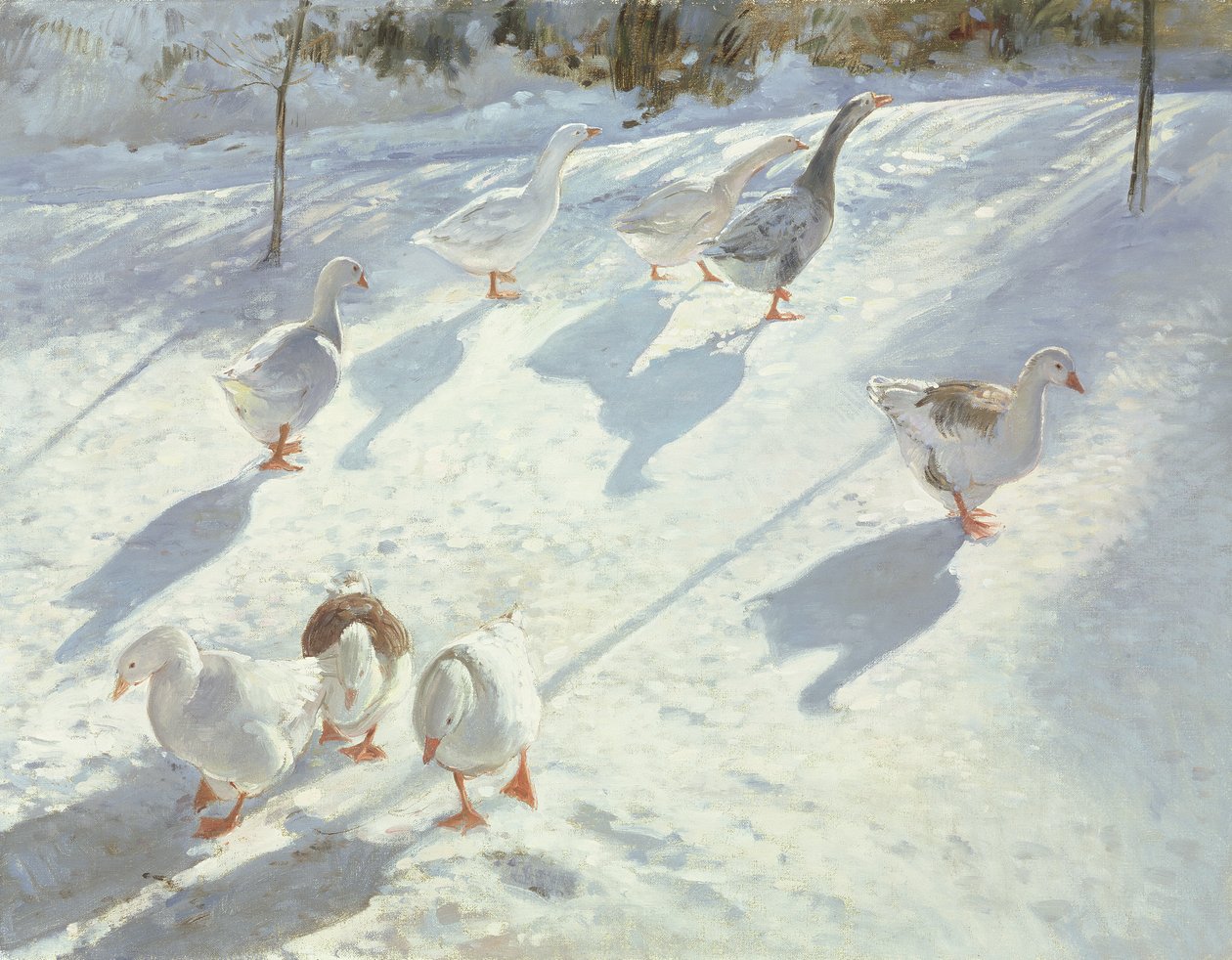 Két Irányban alkotó: Timothy Easton