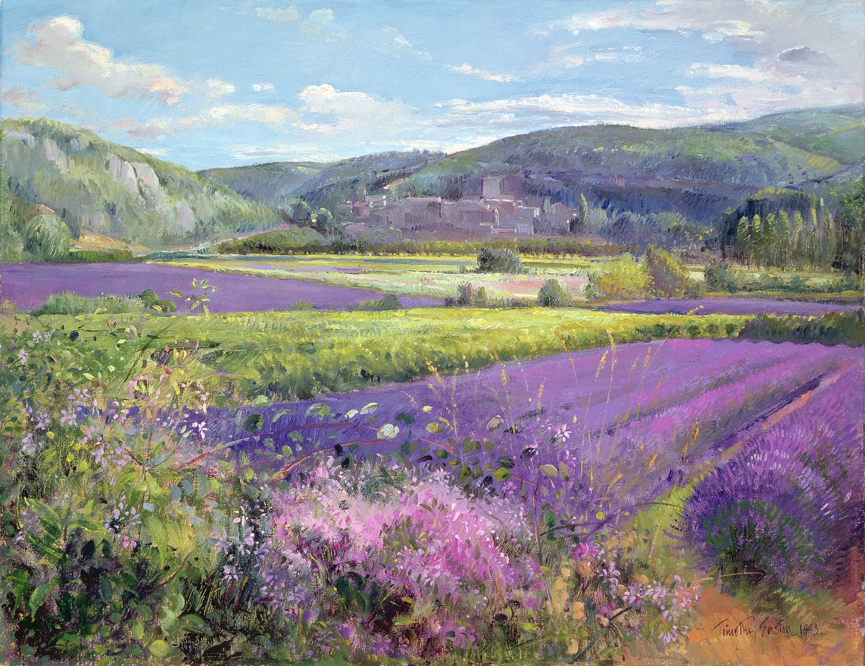 Levendula mezők Old Provence-ban alkotó: Timothy Easton