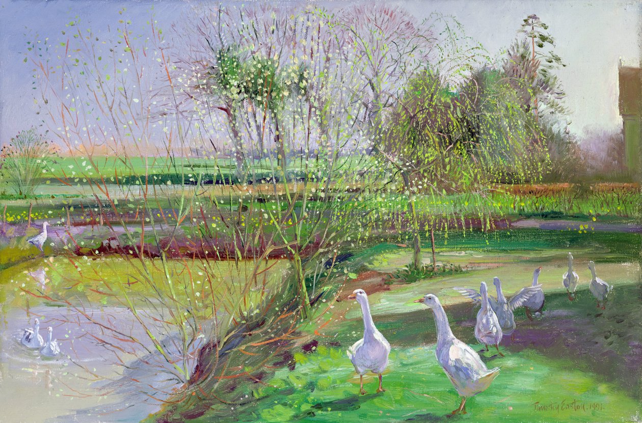 Fűz és libák alkotó: Timothy Easton