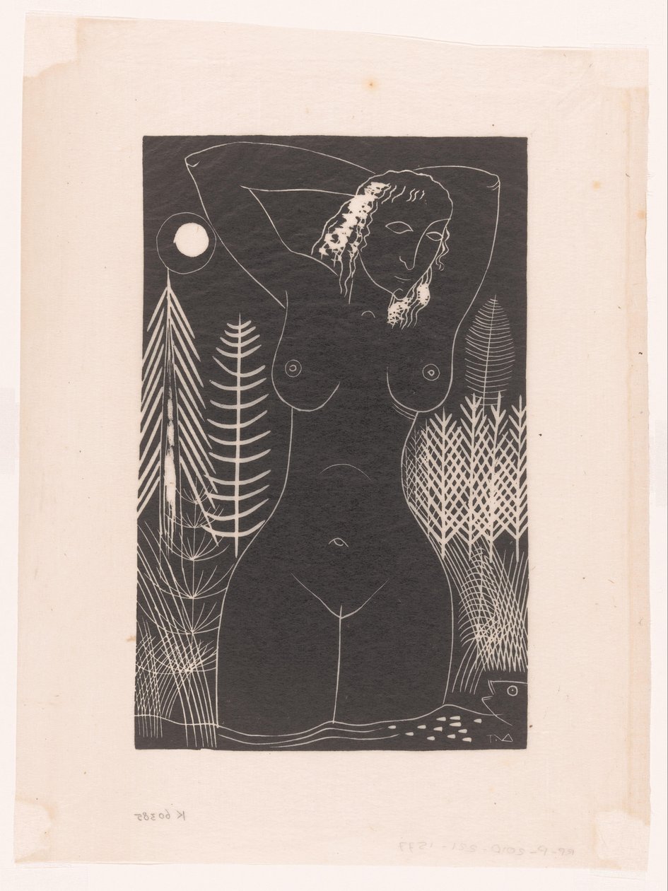 Eva alkotó: Tinus van Doorn (signed by artist)