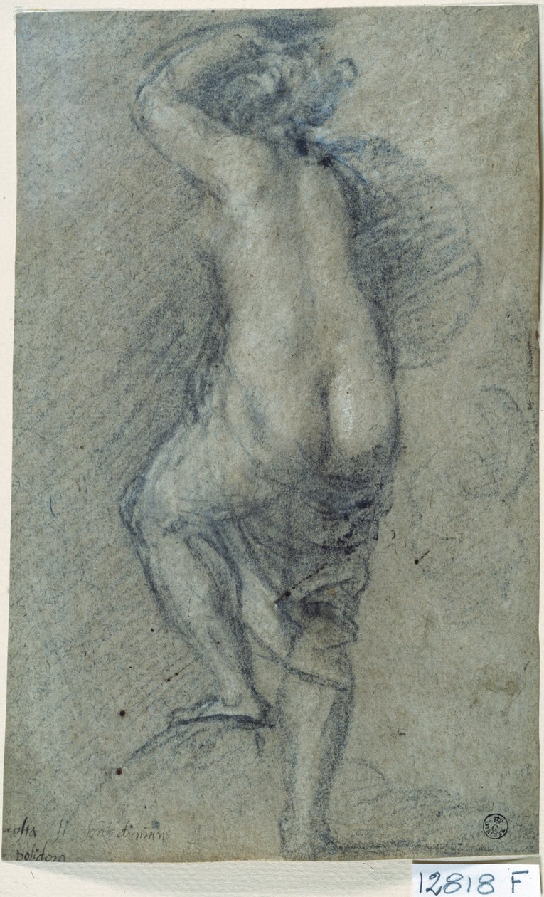 Meztelen nő (kréta papíron) alkotó: Titian (c.1488 1576)