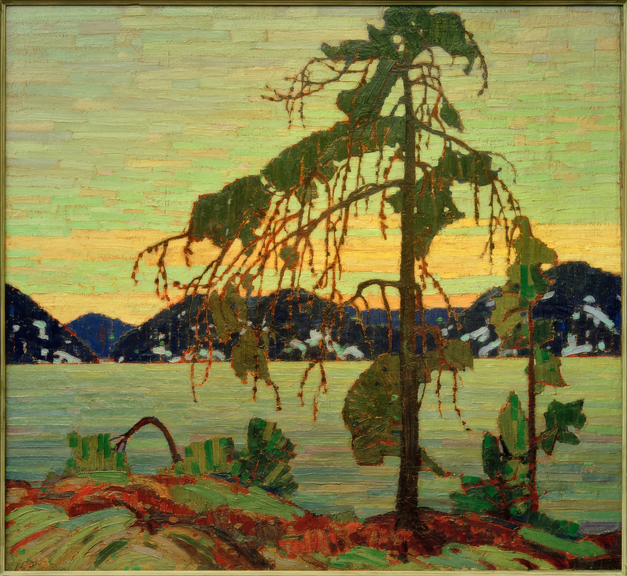 A Jack Pine alkotó: Tom Thomson