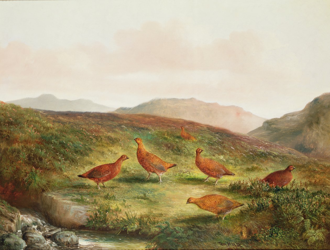 Grouse Moorland tájon alkotó: Tom Hold