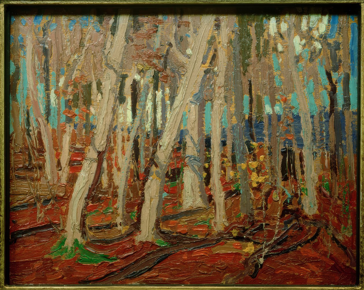 Maple Woods, Bare Trunks, 1915 alkotó: Tom Thomson